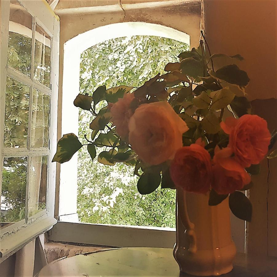 La Maison Celadon Prunay-Cassereau エクステリア 写真